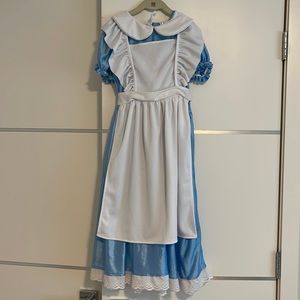 Alicia in wonderland costume